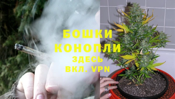 спиды Белокуриха